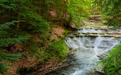 Best Hiking Trails in Cleveland