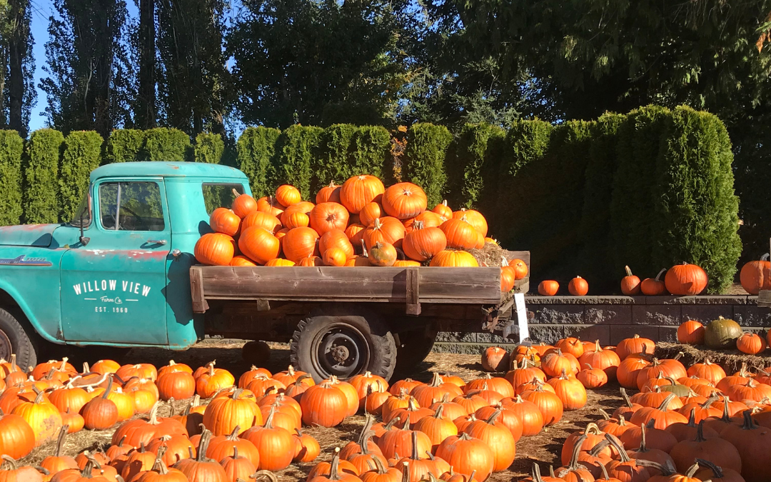 Top 5 Best Places for Apple and Pumpkin Picking Around Cleveland