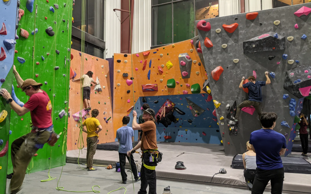 2025 Young Professionals Week: Intro to Climbing