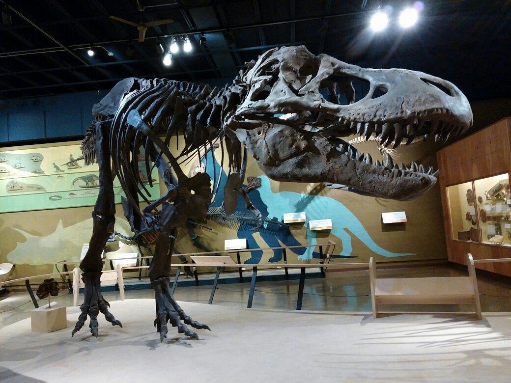 museum