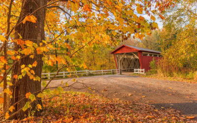 Autumn Adventures in CLE: Outdoor Things to Do in Cleveland This Fall